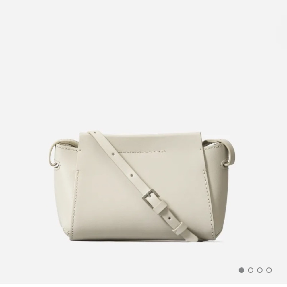 Everlane The Micro Form Bag